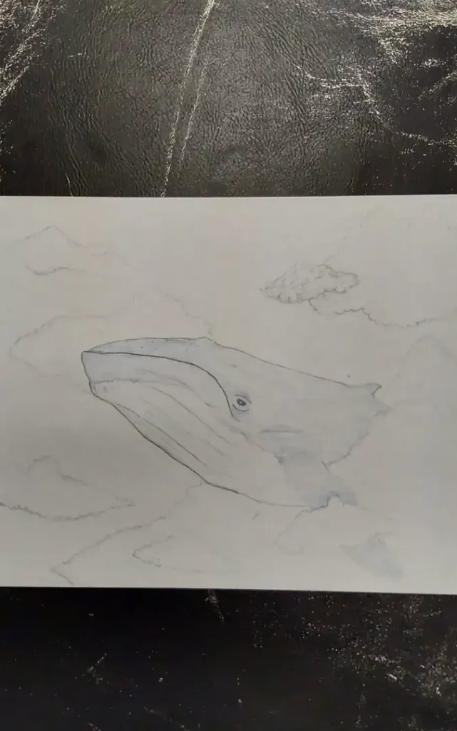 Whale in the Clouds Sketch