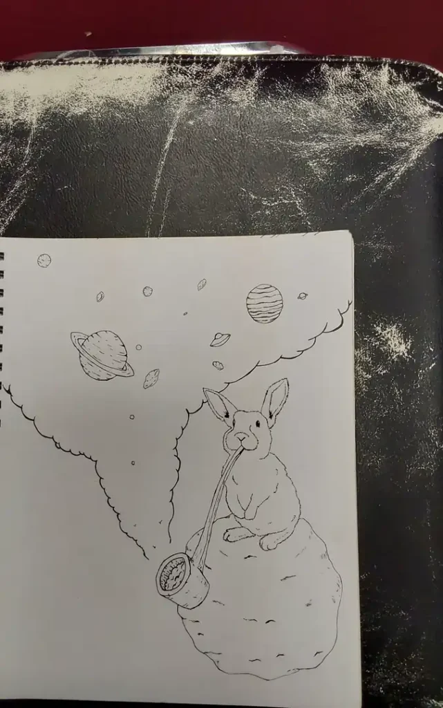 Spaced Out Rabbit design