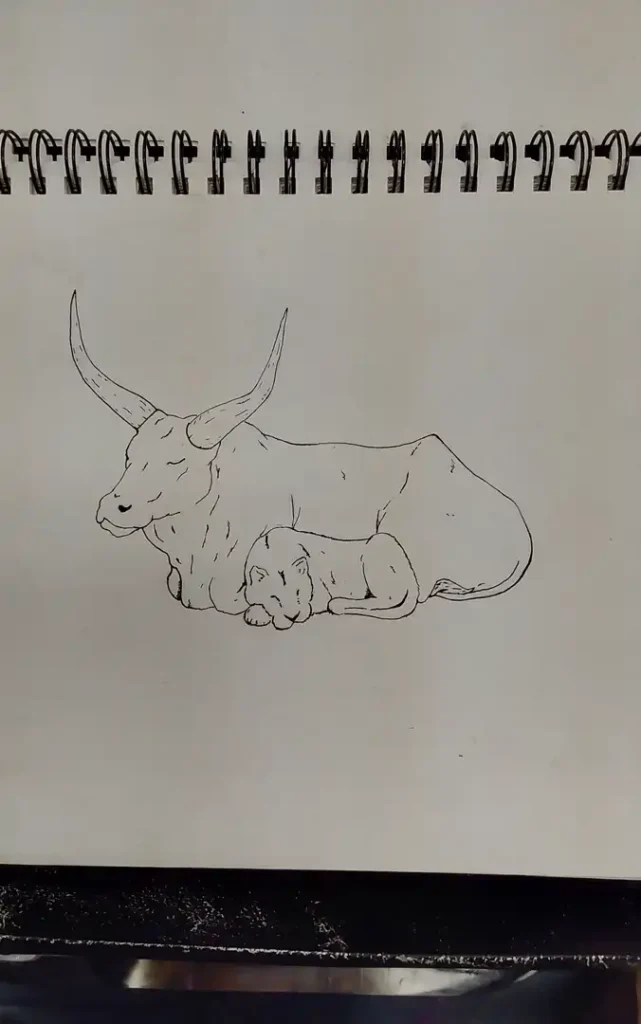 Cat and Bull drawing