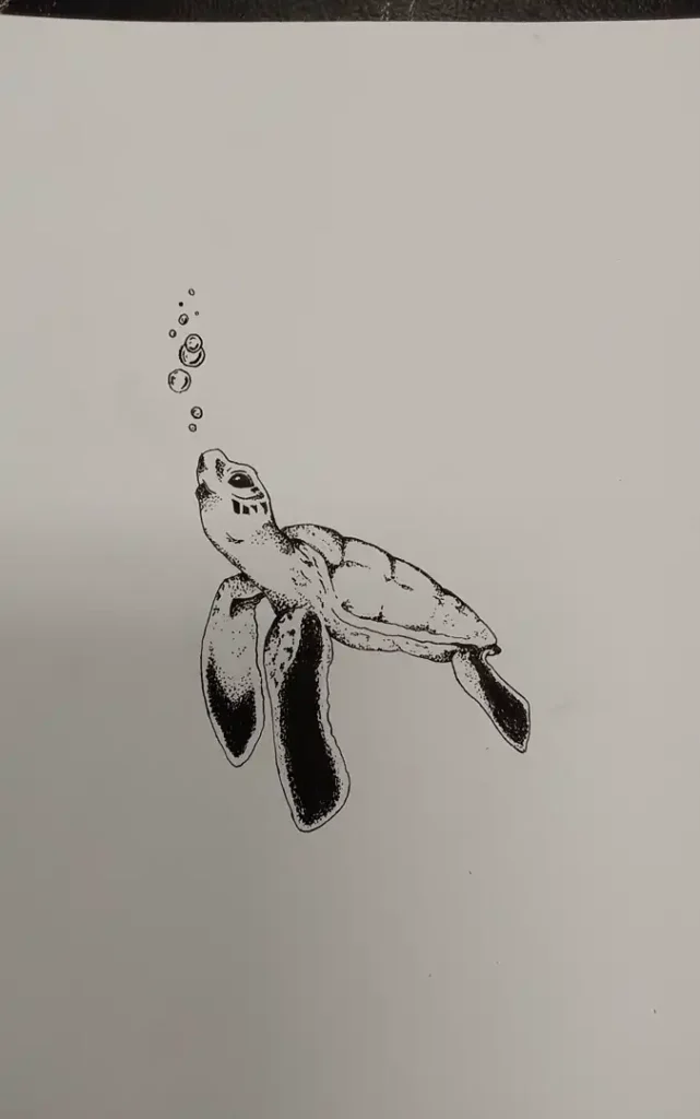 Sea Turtle Pen Drawing