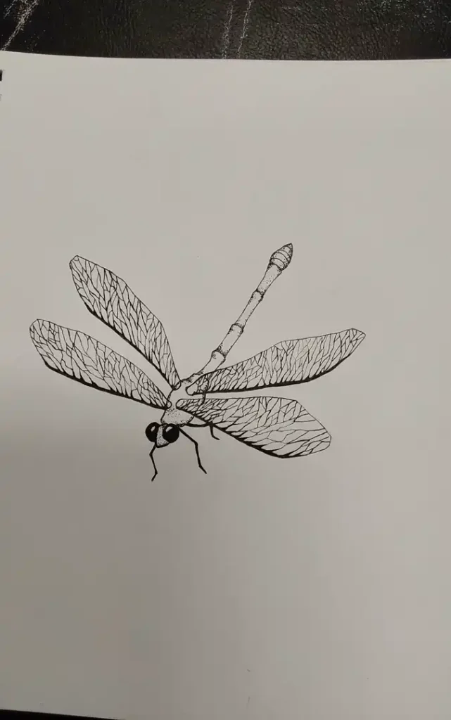 Dragon Fly Pen Drawing