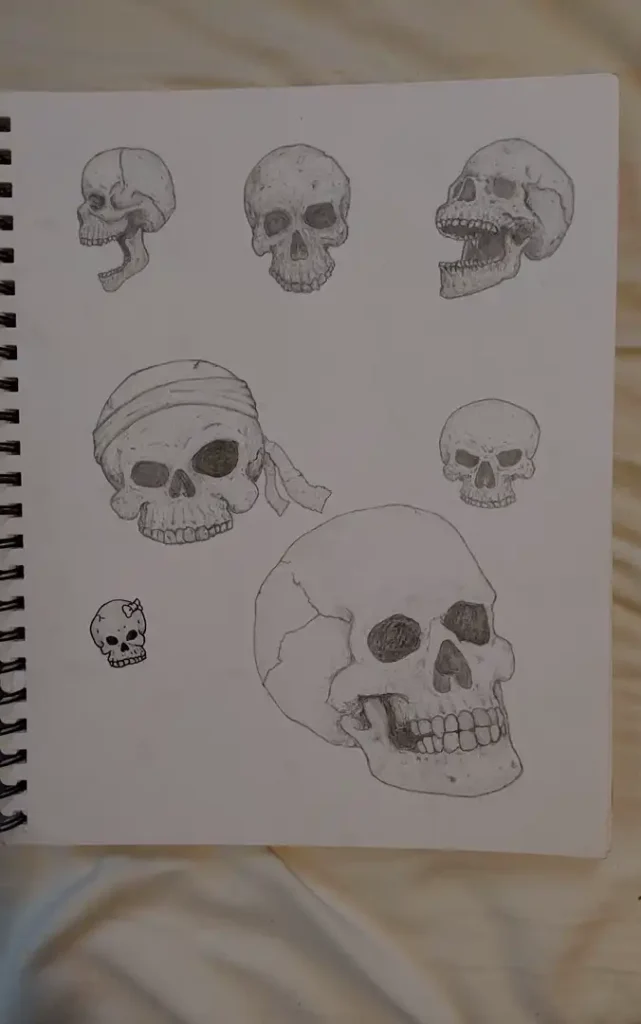 Skull Practice Drawings