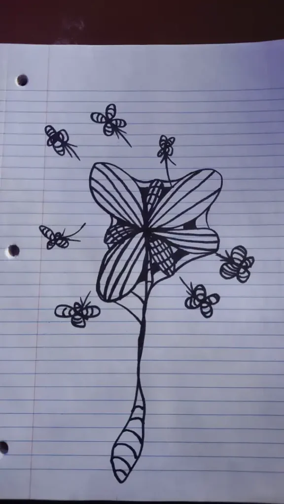 sketch n